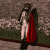 Outfits gallery - 18469662.jpg